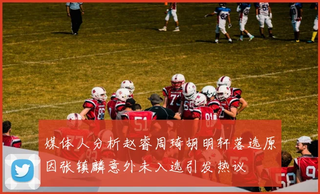 媒体人分析赵睿周琦胡明轩落选原因张镇麟意外未入选引发热议